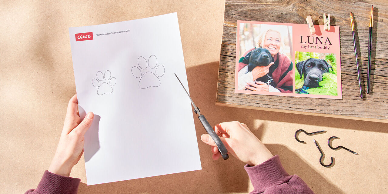 Zwei Hände schneiden die Schablonen in Form einer Hundepfote aus dem Papier. Daneben liegen die restlichen Materialien für die Hundegarderobe.